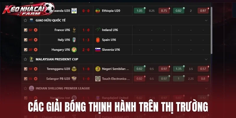 Các giải bóng thịnh hành trên thị trường