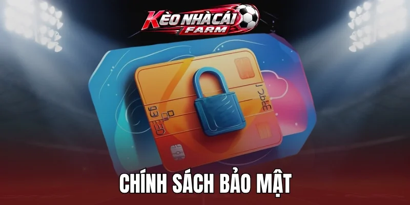 Các điều mục được áp dụng trong chính sách