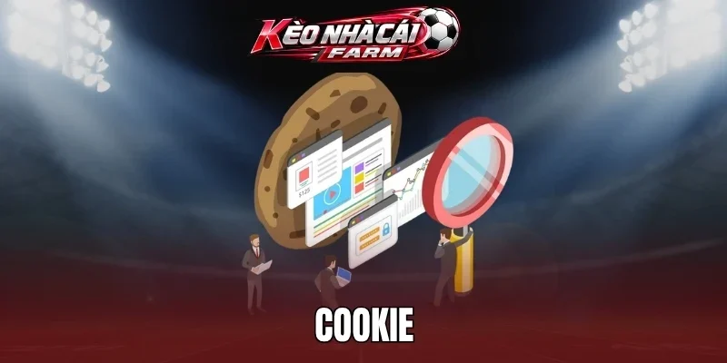 Cách quản lý cookie hiệu quả