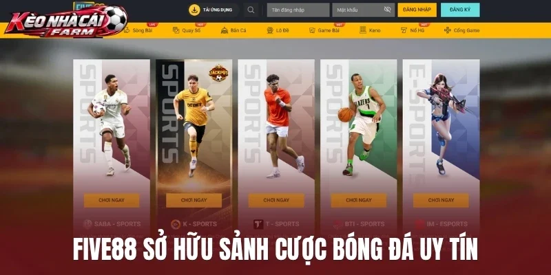 Five88 sở hữu sảnh cược bóng đá uy tín