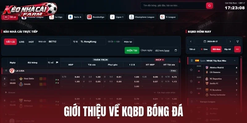 Giới thiệu về kết quả bóng đá