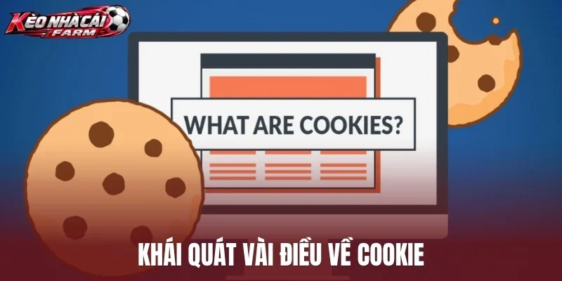 Khái quát vài điều về cookie