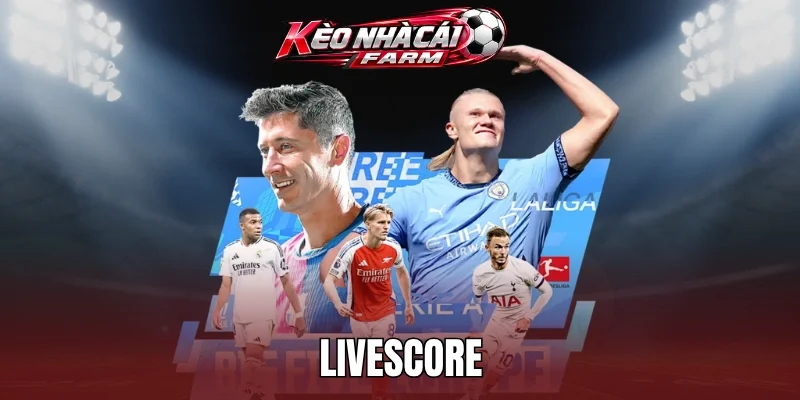 Cam kết độ chính xác của live score