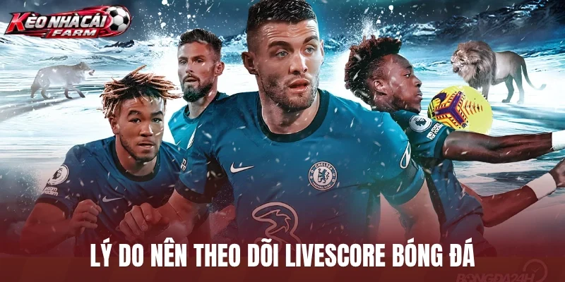 Lý do nên theo dõi livescore bóng đá