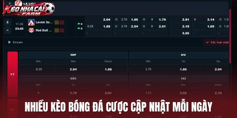 Nhiều kèo bóng đá cược cập nhật mỗi ngày