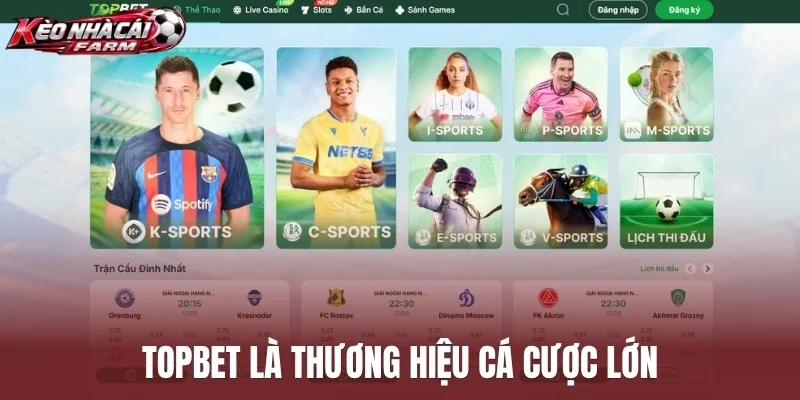 Topbet là thương hiệu cá cược lớn