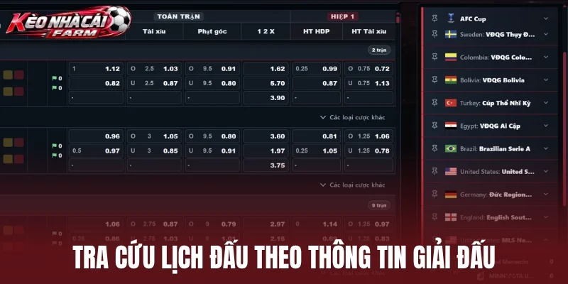 Tra cứu lịch đấu theo thông tin giải đấu