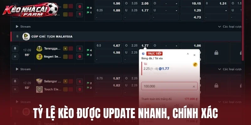 Tỷ lệ kèo được update nhanh, chính xác