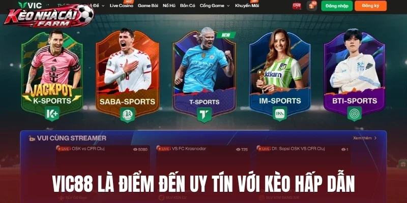 Vic88 là điểm đến uy tín với kèo hấp dẫn