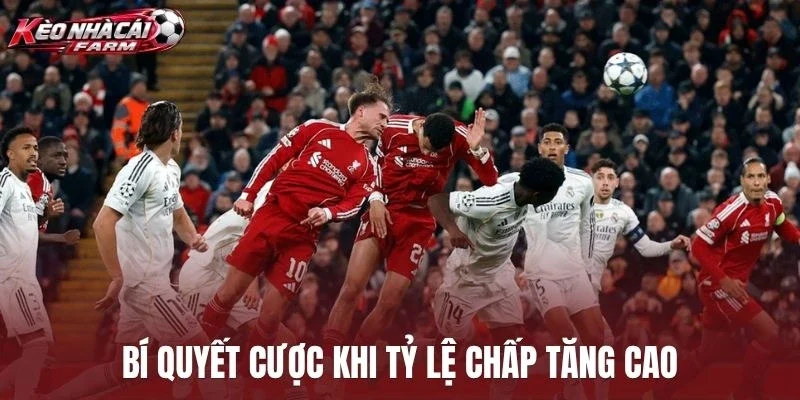 Bí quyết cược khi tỷ lệ chấp tăng cao
