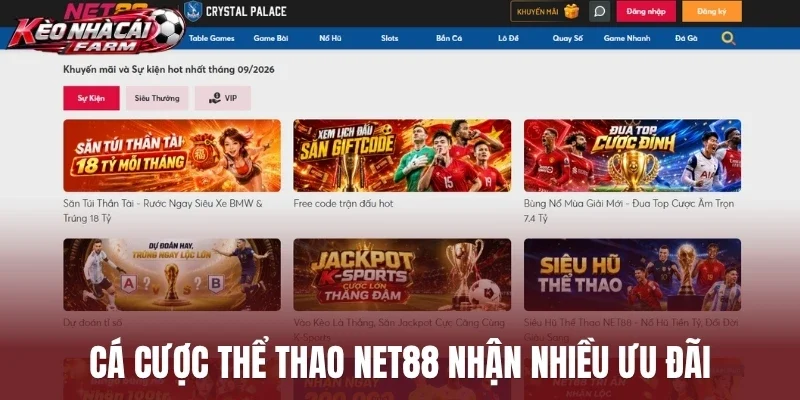 Cá cược thể thao Net88 nhận nhiều ưu đãi