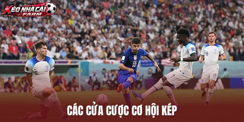 Các cửa cược cơ hội kép