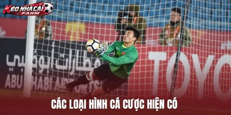 Các loại hình cá cược hiện có 