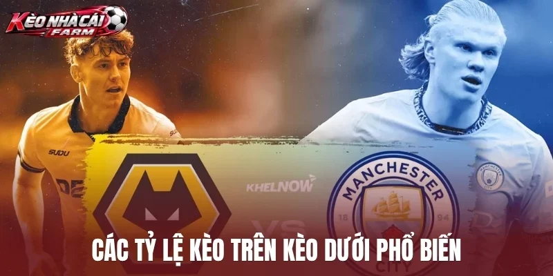 Các tỷ lệ kèo trên kèo dưới phổ biến