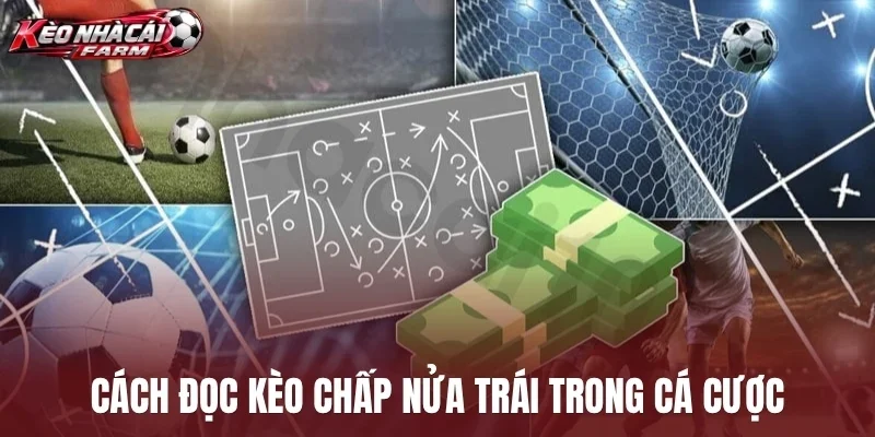 Cách đọc kèo chấp nửa trái trong cá cược