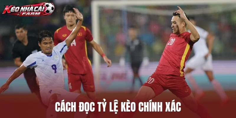 Cách đọc tỷ lệ kèo chính xác