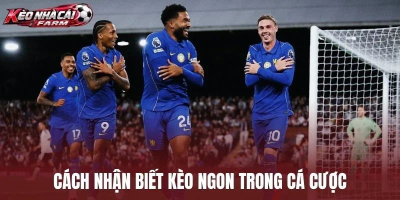 Cách nhận biết kèo ngon trong cá cược