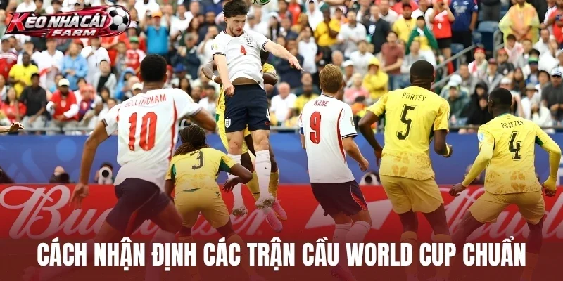 Cách nhận định các trận cầu World Cup chuẩn