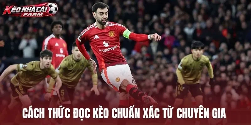 Cách thức đọc kèo chuẩn xác từ chuyên gia 