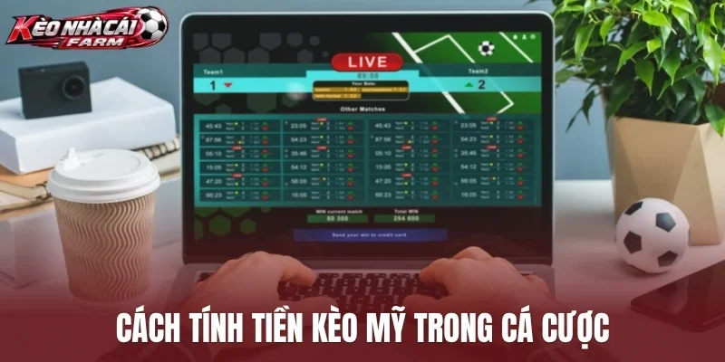Cách tính tiền kèo Mỹ trong cá cược