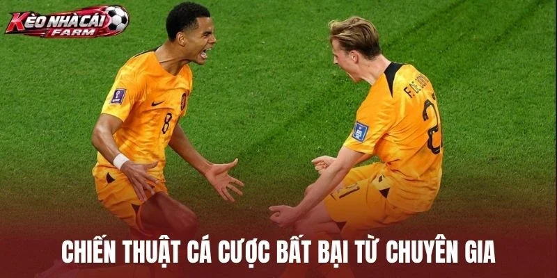 Chiến thuật cá cược bất bại từ chuyên gia