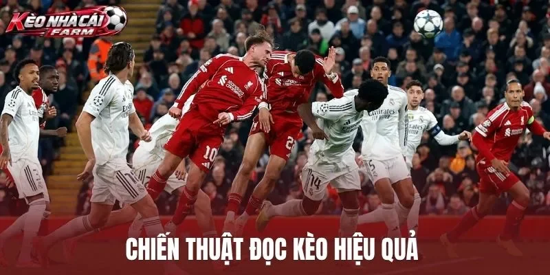 Chiến thuật đọc kèo hiệu quả 