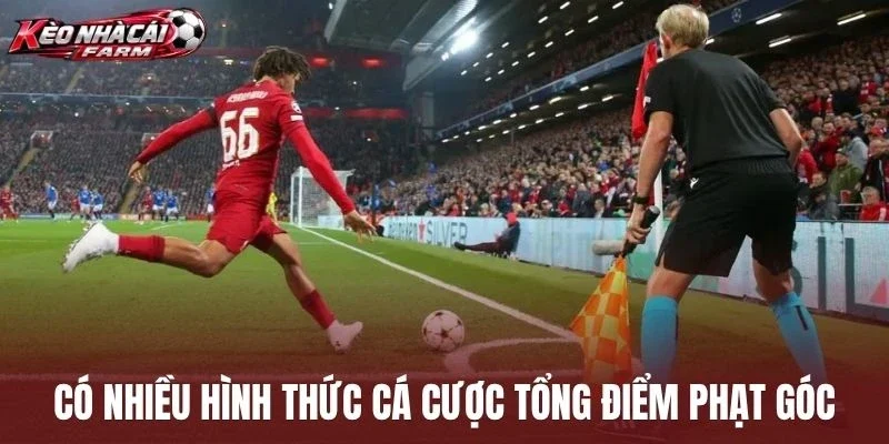 Có nhiều hình thức cá cược tổng điểm phạt góc