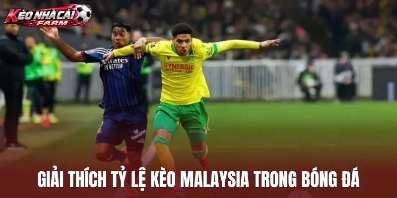Giải thích tỷ lệ kèo Malaysia trong bóng đá