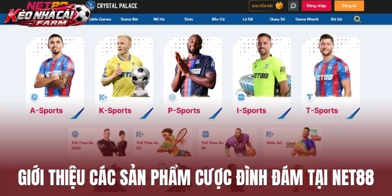 Giới thiệu các sản phẩm cược đình đám tại Net88