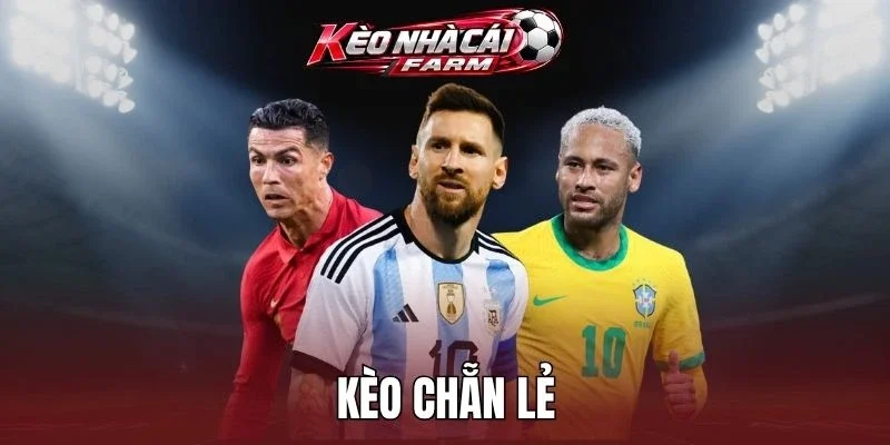 Chiến cược gấp thếp rất hiệu quả