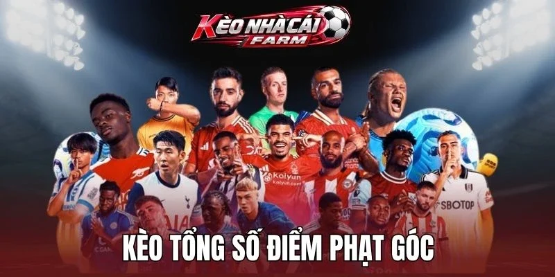 Có nhiều hình thức cá cược tổng điểm phạt góc