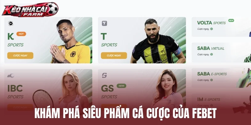 Khám phá siêu phẩm cá cược  của Febet