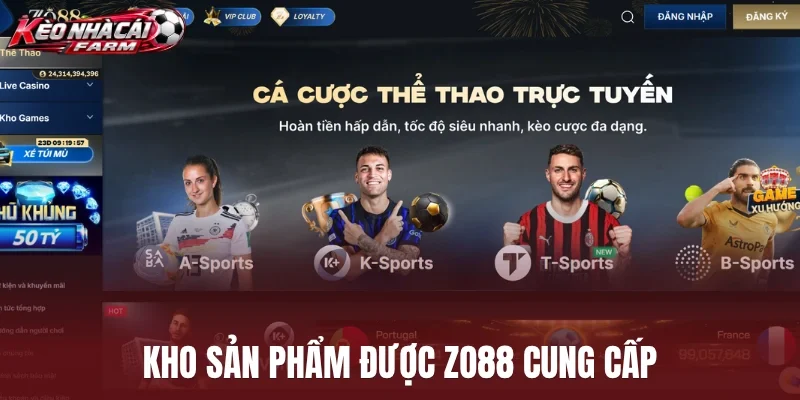 Kho sản phẩm được Zo88 cung cấp
