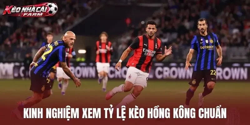 Kinh nghiệm xem tỷ lệ kèo Hồng Kông chuẩn