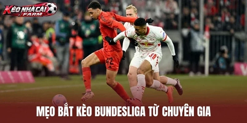 Mẹo bắt kèo Bundesliga từ chuyên gia