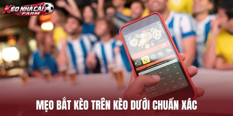Mẹo bắt kèo trên kèo dưới chuẩn xác