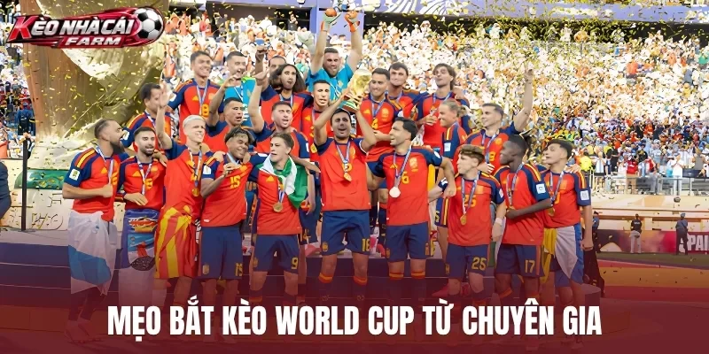 Mẹo bắt kèo World Cup từ chuyên gia
