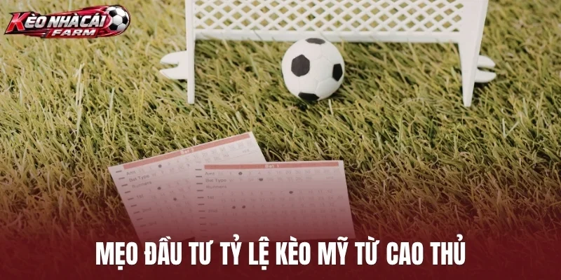Mẹo đầu tư tỷ lệ kèo Mỹ từ cao thủ