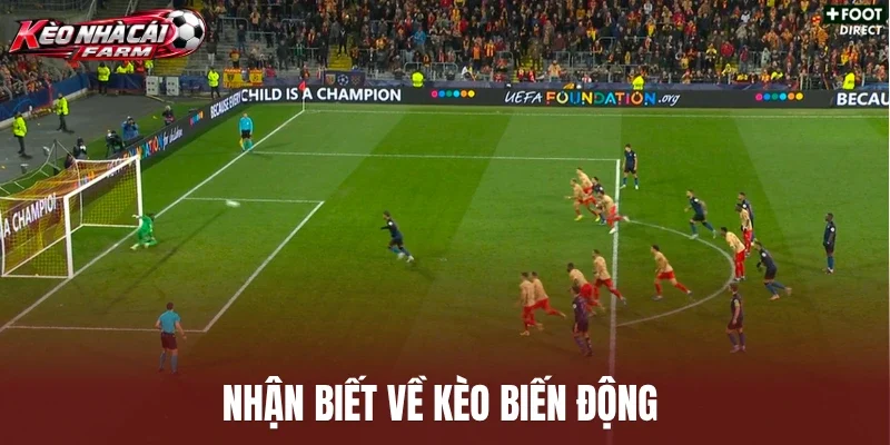Nhận biết về kèo biến động 