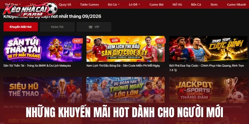 Những khuyến mãi hot dành cho người mới