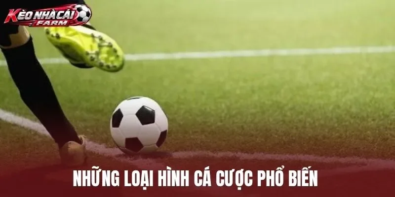 Những loại hình cá cược phổ biến