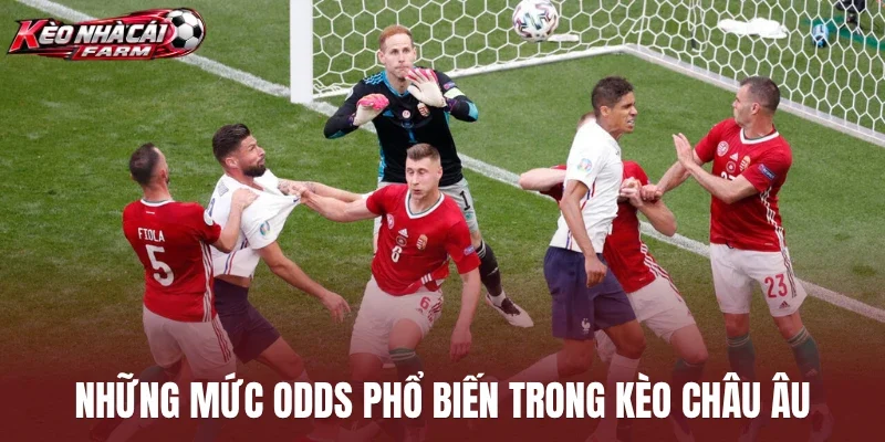 Những mức odds phổ biến trong kèo châu Âu