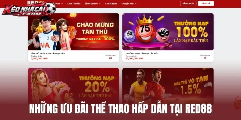 Những ưu đãi thể thao hấp dẫn tại Red88