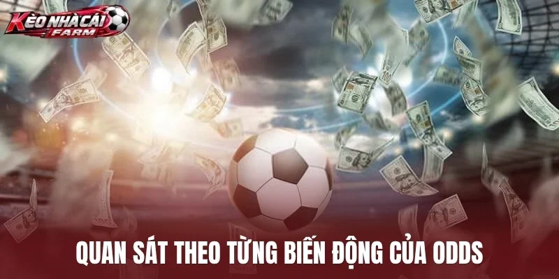 Quan sát theo từng biến động của odds