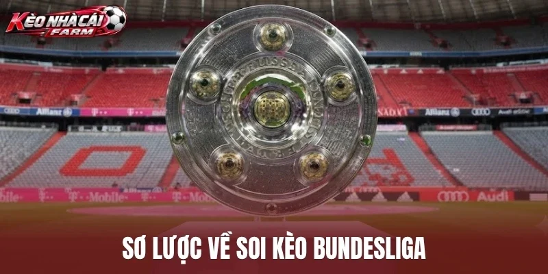 Sơ lược về soi kèo Bundesliga