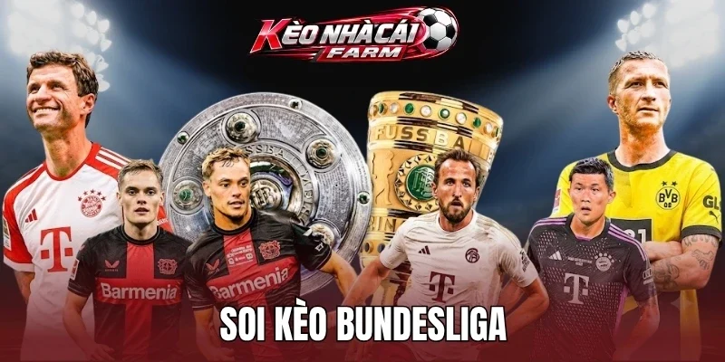 Mẹo bắt kèo Bundesliga từ chuyên gia