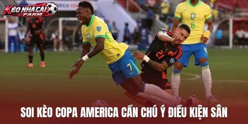 Soi kèo Copa America cần chú ý điều kiện sân