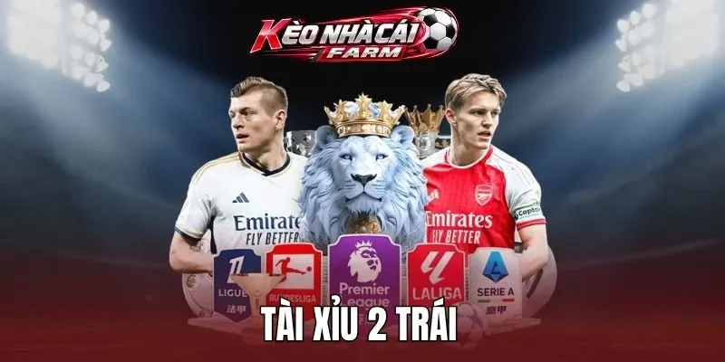Bí quyết đọc kèo từ chuyên gia 