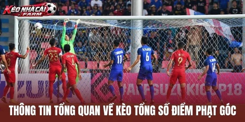Thông tin tổng quan về kèo tổng số điểm phạt góc