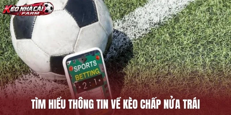 Tìm hiểu thông tin về kèo chấp nửa trái